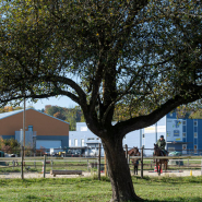 © ARC Jean-Bernard Sieber