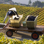 A. Jarne – Office du tourisme du canton de Vaud