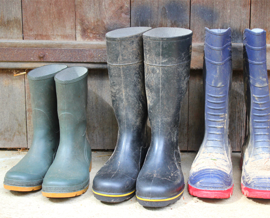 La qualité de vie dans l’agriculture est importante aussi. Chaque exploitante ou exploitant doit pouvoir concilier son travail avec la famille et les loisirs.
